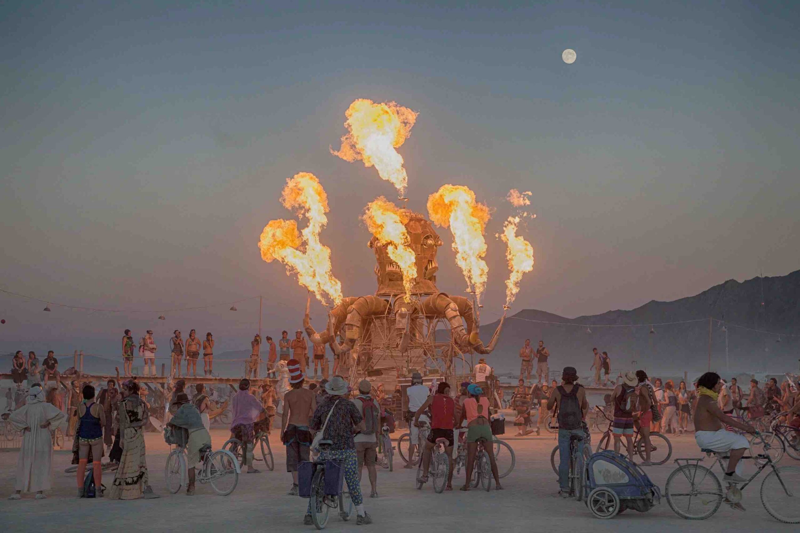"Burning Man 2023 Animalia"